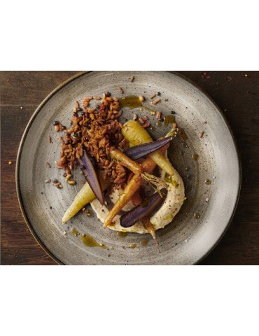 SRGYEV101 PLATO COUPE 26 CM. STONECAST RAW GREY 2