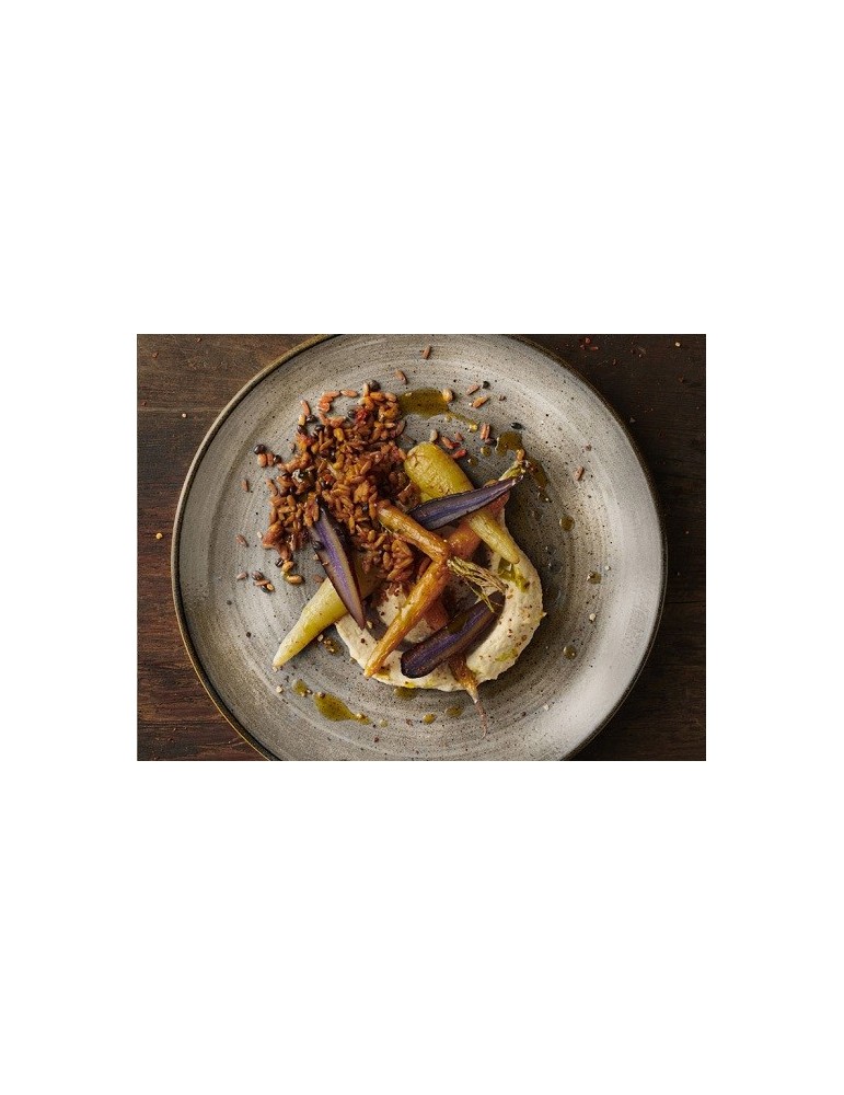 SRGYEV101 PLATO COUPE 26 CM. STONECAST RAW GREY