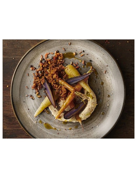 SRGYEV101 PLATO COUPE 26 CM. STONECAST RAW GREY