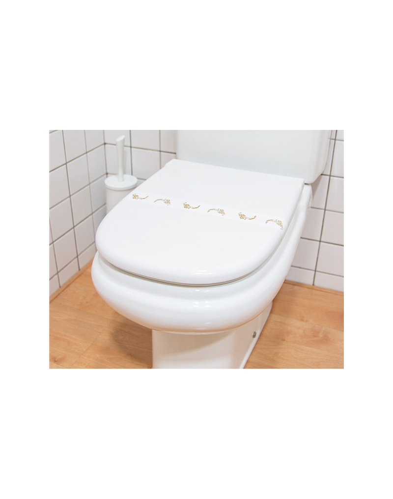 225.66 BANDA W.C. P/1000  (218.39)